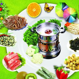 飛龍火鍋 產品圖鑒、加盟店實力與專業餐飲管理解析